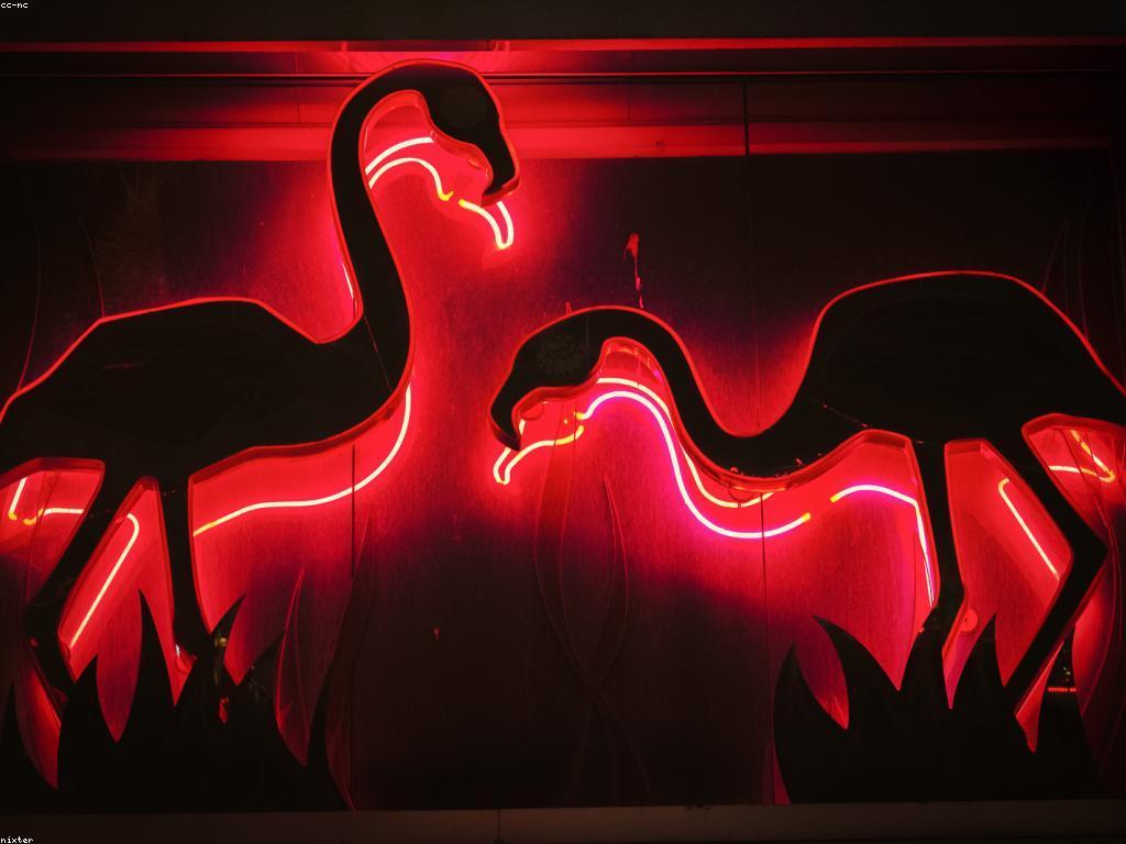 កាស៊ីណូ AI សម្រាប់អ្នកថ្មី: គន្លឹះសំខាន់ៗសម្រាប់ការចូលរួម